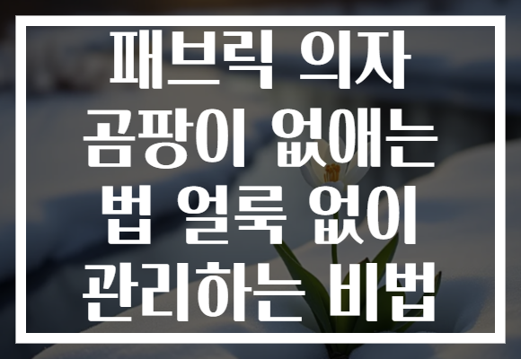 패브릭 의자 곰팡이 없애는 법 얼룩 없이 관리하는 비법