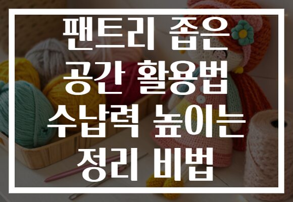 팬트리 좁은 공간 활용법 수납력 높이는 정리 비법