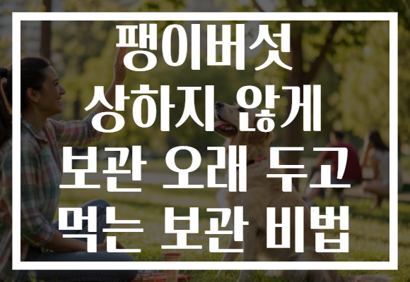 팽이버섯 상하지 않게 보관 오래 두고 먹는 보관 비법