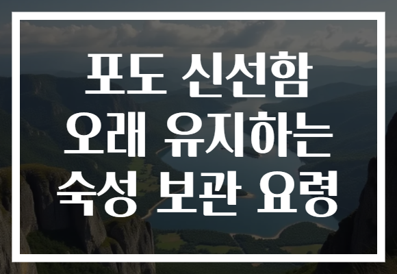 포도 신선함 오래 유지하는 숙성 보관 요령
