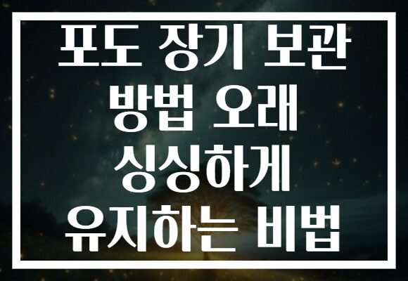 포도 장기 보관 방법 오래 싱싱하게 유지하는 비법