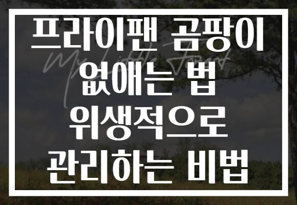 프라이팬 곰팡이 없애는 법 위생적으로 관리하는 비법
