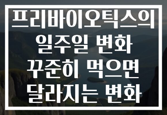 프리바이오틱스의 일주일 변화 꾸준히 먹으면 달라지는 변화