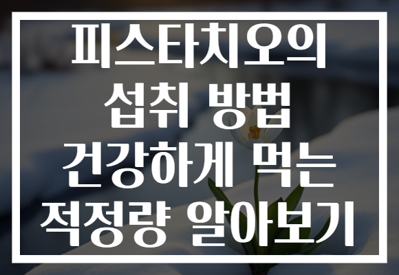 피스타치오의 섭취 방법 건강하게 먹는 적정량 알아보기