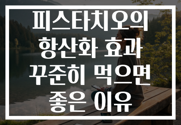 피스타치오의 항산화 효과 꾸준히 먹으면 좋은 이유