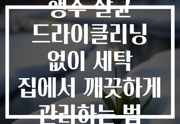 행주 살균 드라이클리닝 없이 세탁 집에서 깨끗하게 관리하는 법