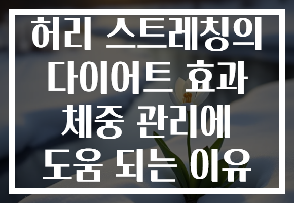 허리 스트레칭의 다이어트 효과 체중 관리에 도움 되는 이유