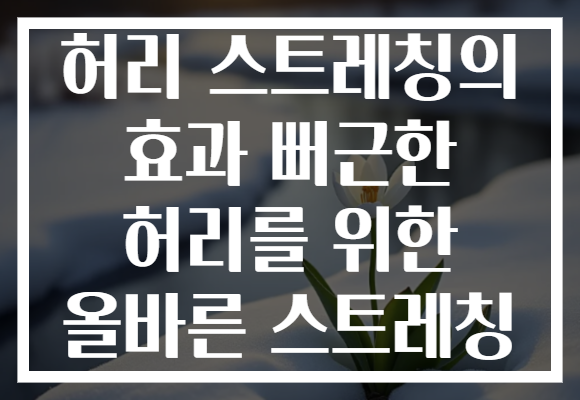 허리 스트레칭의 효과 뻐근한 허리를 위한 올바른 스트레칭
