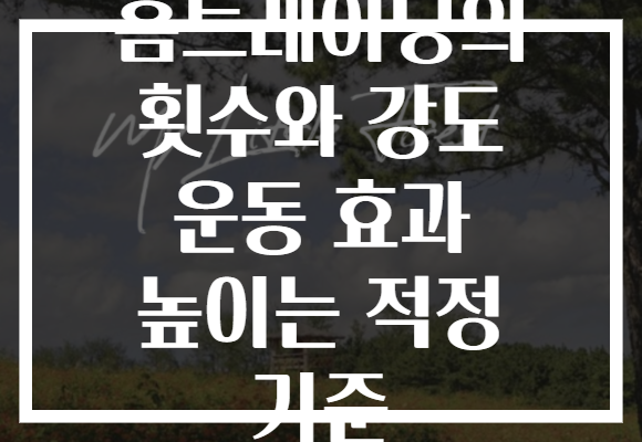 홈트레이닝의 횟수와 강도 운동 효과 높이는 적정 기준