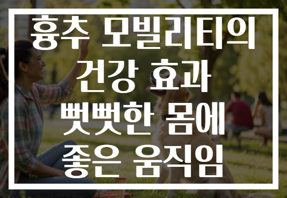 흉추 모빌리티의 건강 효과 뻣뻣한 몸에 좋은 움직임