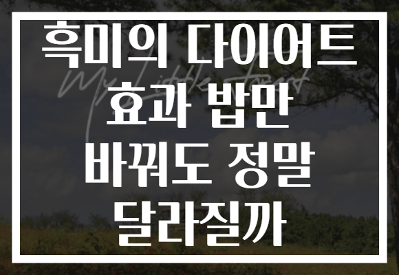 흑미의 다이어트 효과 밥만 바꿔도 정말 달라질까
