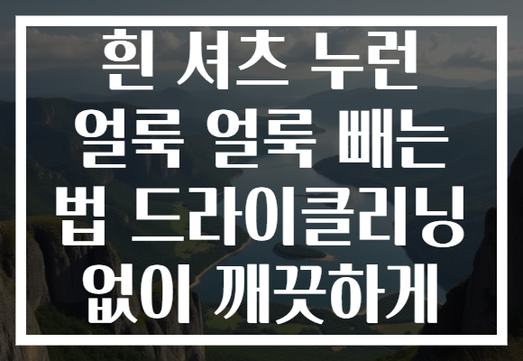 흰 셔츠 누런 얼룩 얼룩 빼는 법 드라이클리닝 없이 깨끗하게