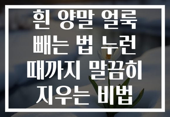 흰 양말 얼룩 빼는 법 누런 때까지 말끔히 지우는 비법