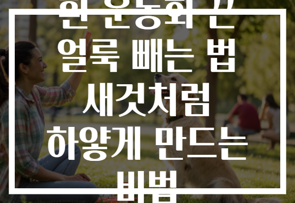 흰 운동화 끈 얼룩 빼는 법 새것처럼 하얗게 만드는 비법