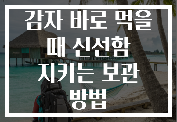 감자 바로 먹을 때 신선함 지키는 보관 방법