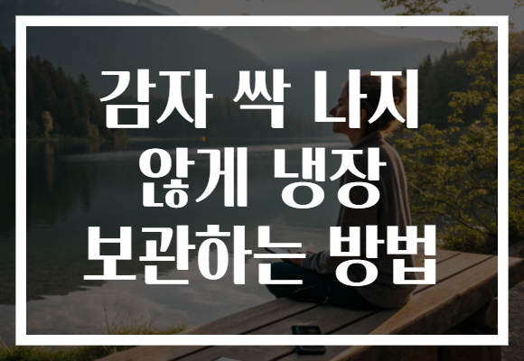감자 싹 나지 않게 냉장 보관하는 방법
