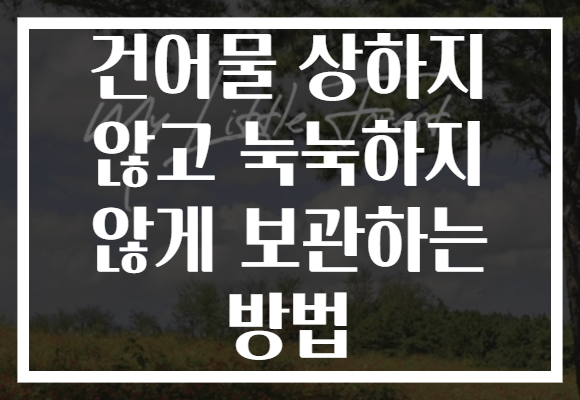 건어물 상하지 않고 눅눅하지 않게 보관하는 방법