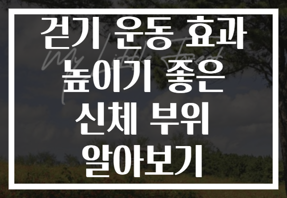 걷기 운동 효과 높이기 좋은 신체 부위 알아보기
