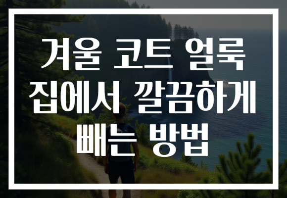 겨울 코트 얼룩 집에서 깔끔하게 빼는 방법