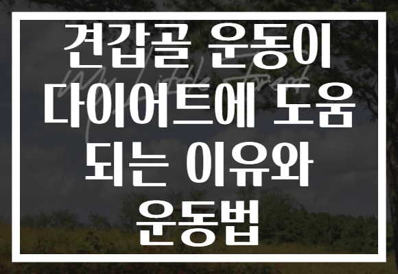 견갑골 운동이 다이어트에 도움 되는 이유와 운동법