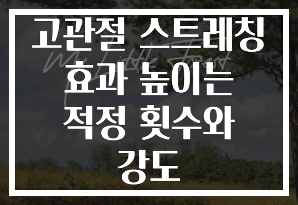 고관절 스트레칭 효과 높이는 적정 횟수와 강도
