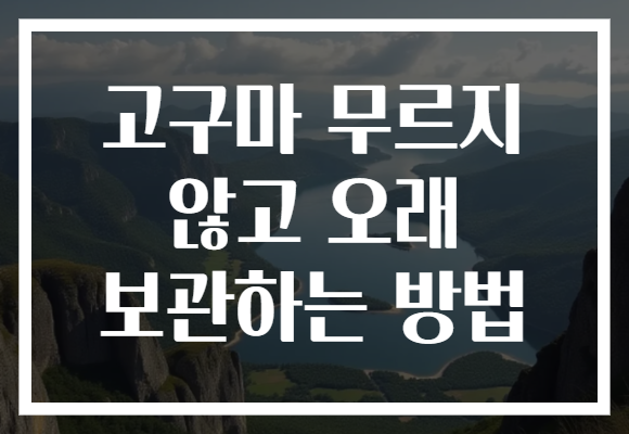 고구마 무르지 않고 오래 보관하는 방법