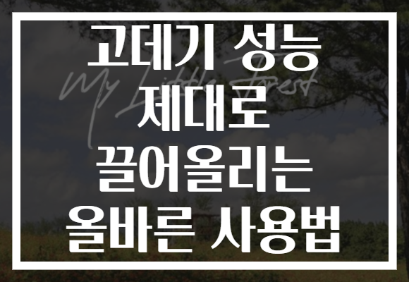 고데기 성능 제대로 끌어올리는 올바른 사용법