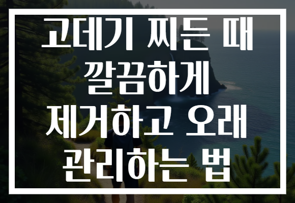 고데기 찌든 때 깔끔하게 제거하고 오래 관리하는 법