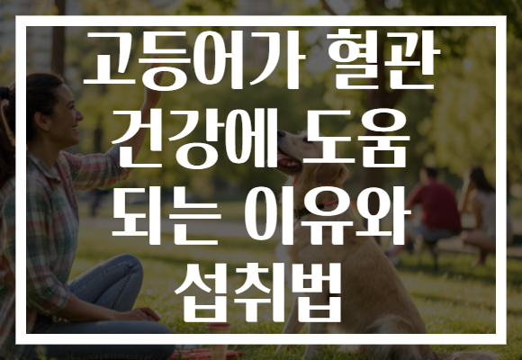 고등어가 혈관 건강에 도움 되는 이유와 섭취법