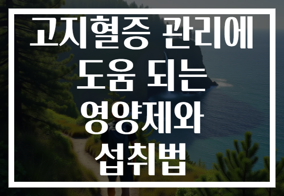 고지혈증 관리에 도움 되는 영양제와 섭취법