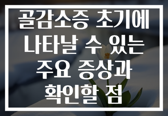 골감소증 초기에 나타날 수 있는 주요 증상과 확인할 점
