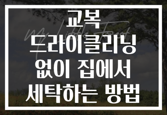 교복 드라이클리닝 없이 집에서 세탁하는 방법