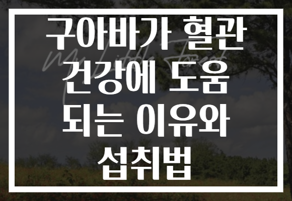 구아바가 혈관 건강에 도움 되는 이유와 섭취법