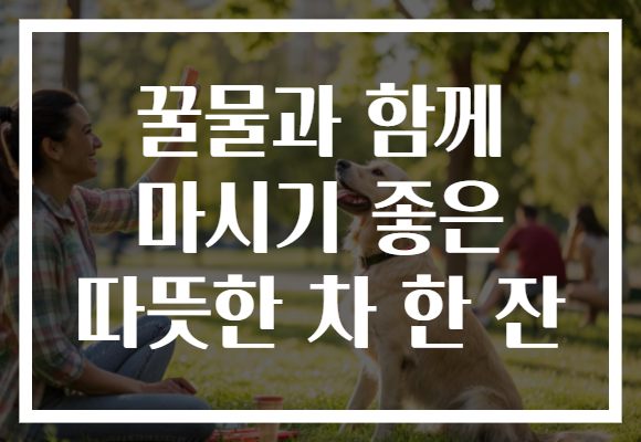 꿀물과 함께 마시기 좋은 따뜻한 차 한 잔