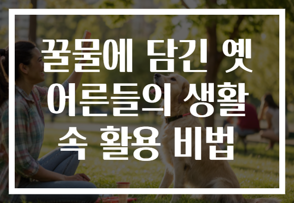 꿀물에 담긴 옛 어른들의 생활 속 활용 비법