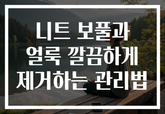 니트 보풀과 얼룩 깔끔하게 제거하는 관리법
