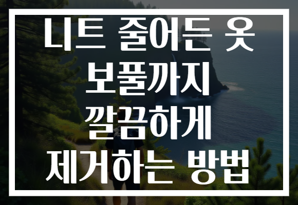니트 줄어든 옷 보풀까지 깔끔하게 제거하는 방법
