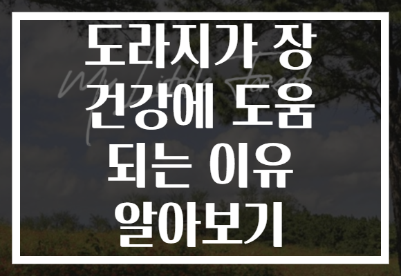 도라지가 장 건강에 도움 되는 이유 알아보기