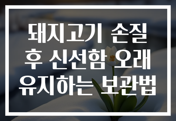 돼지고기 손질 후 신선함 오래 유지하는 보관법