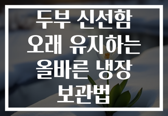 두부 신선함 오래 유지하는 올바른 냉장 보관법