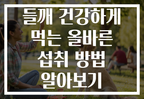 들깨 건강하게 먹는 올바른 섭취 방법 알아보기