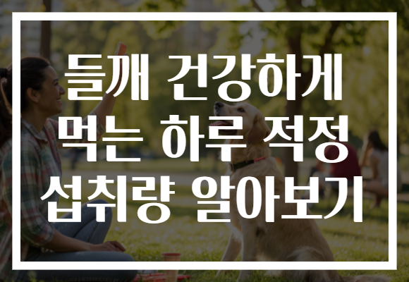 들깨 건강하게 먹는 하루 적정 섭취량 알아보기