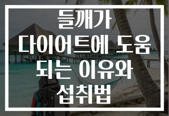 들깨가 다이어트에 도움 되는 이유와 섭취법