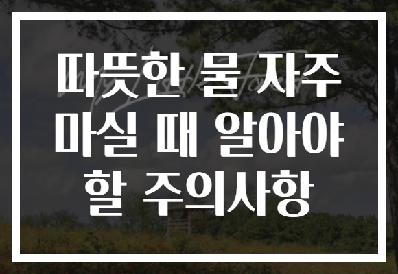 따뜻한 물 자주 마실 때 알아야 할 주의사항