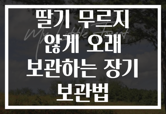 딸기 무르지 않게 오래 보관하는 장기 보관법