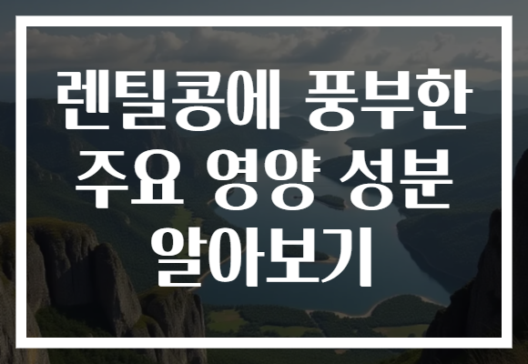 렌틸콩에 풍부한 주요 영양 성분 알아보기
