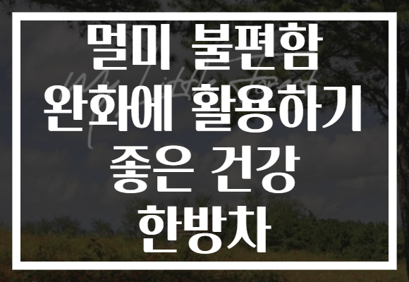 멀미 불편함 완화에 활용하기 좋은 건강 한방차