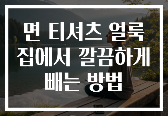 면 티셔츠 얼룩 집에서 깔끔하게 빼는 방법