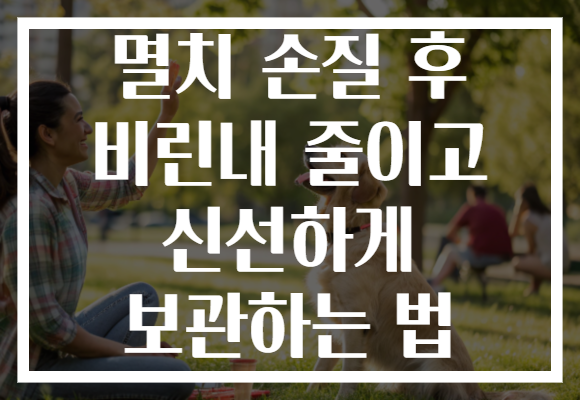 멸치 손질 후 비린내 줄이고 신선하게 보관하는 법