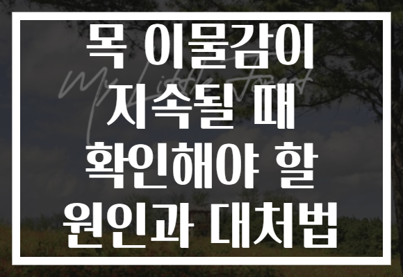 목 이물감이 지속될 때 확인해야 할 원인과 대처법